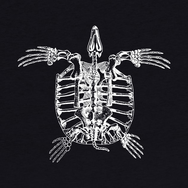 Turtle Skeleton by tommartinart